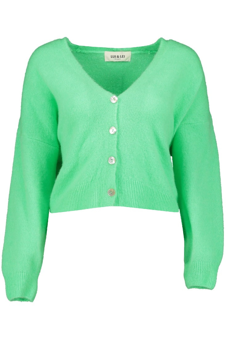 Goose Flash Strickjacken Hellgrün