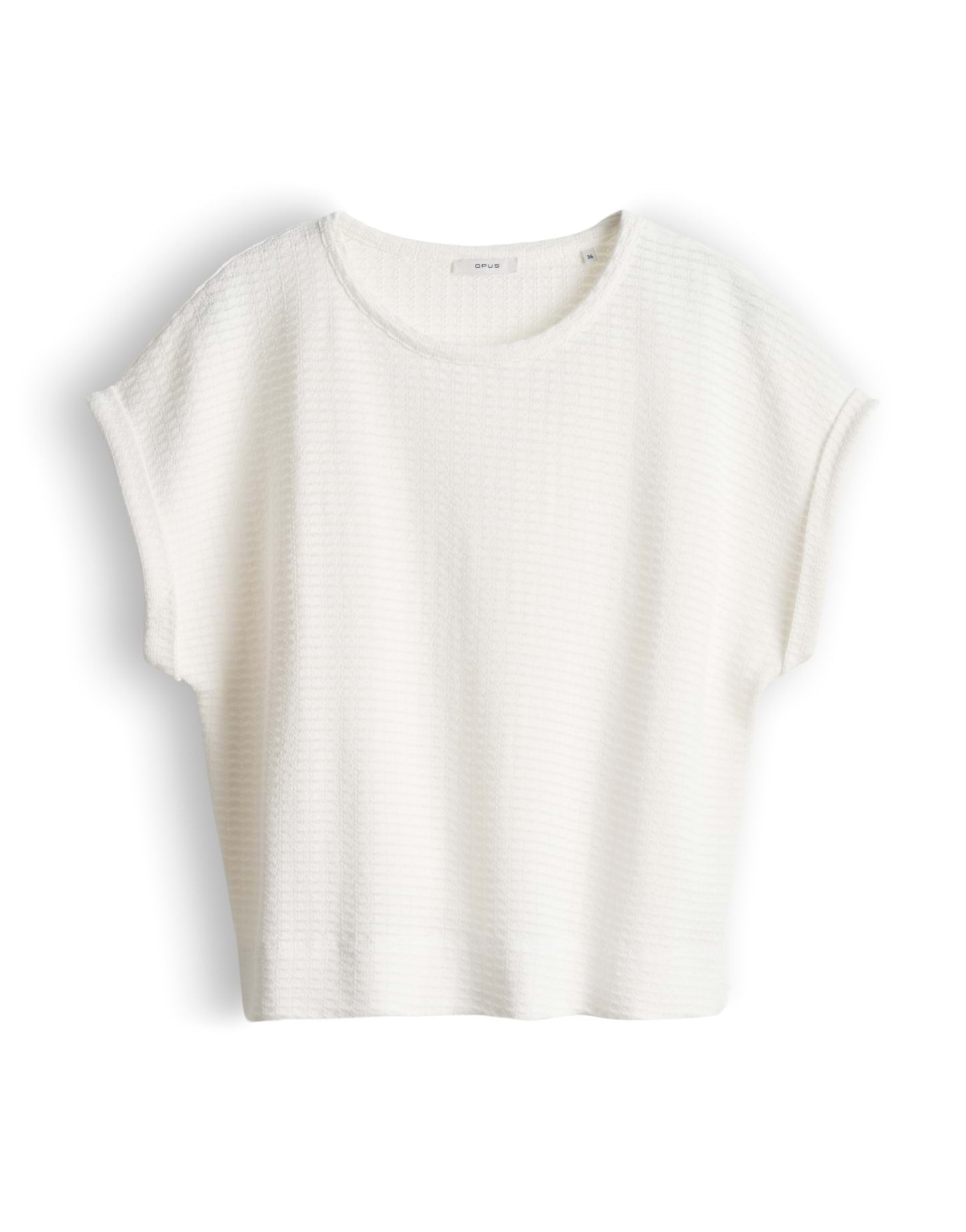 Shirt Sishell