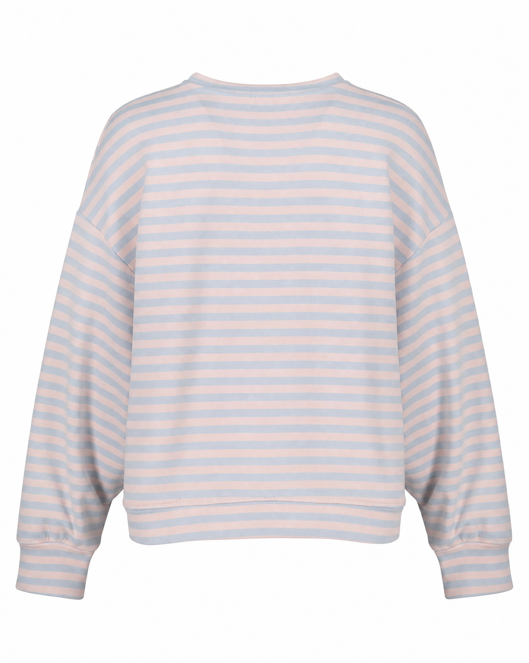 Goose Flash Sweatshirts Beige/Blau