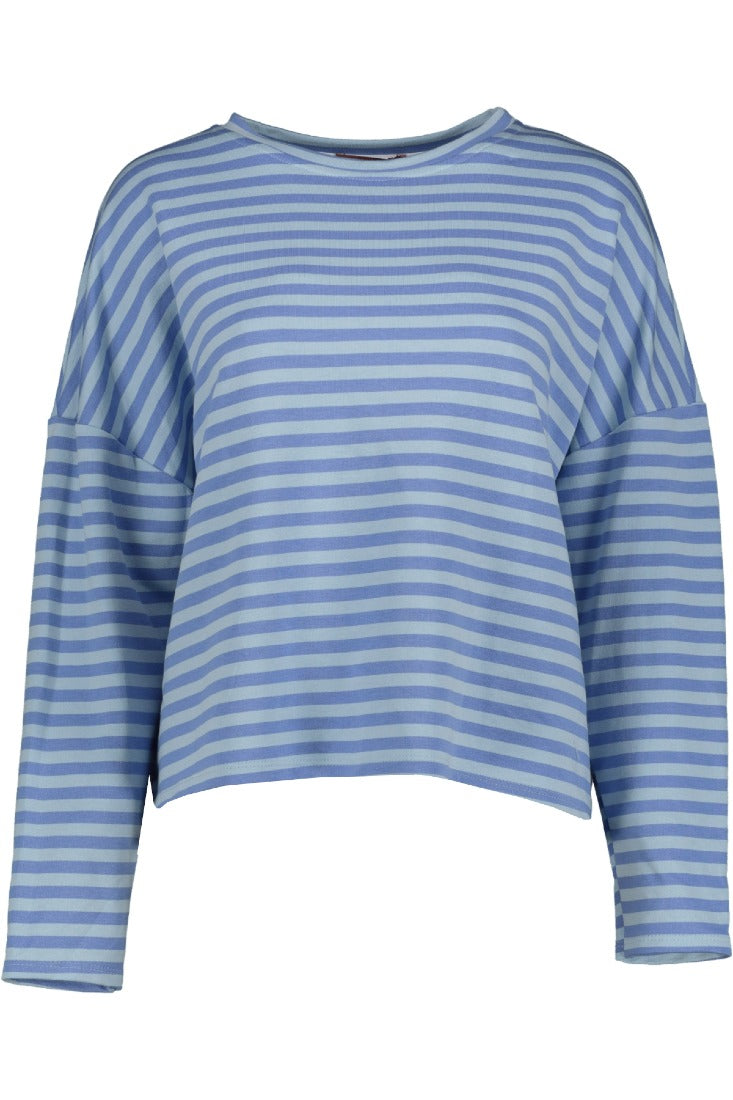 Goose Flash Sweatshirts Hellblau/Blau