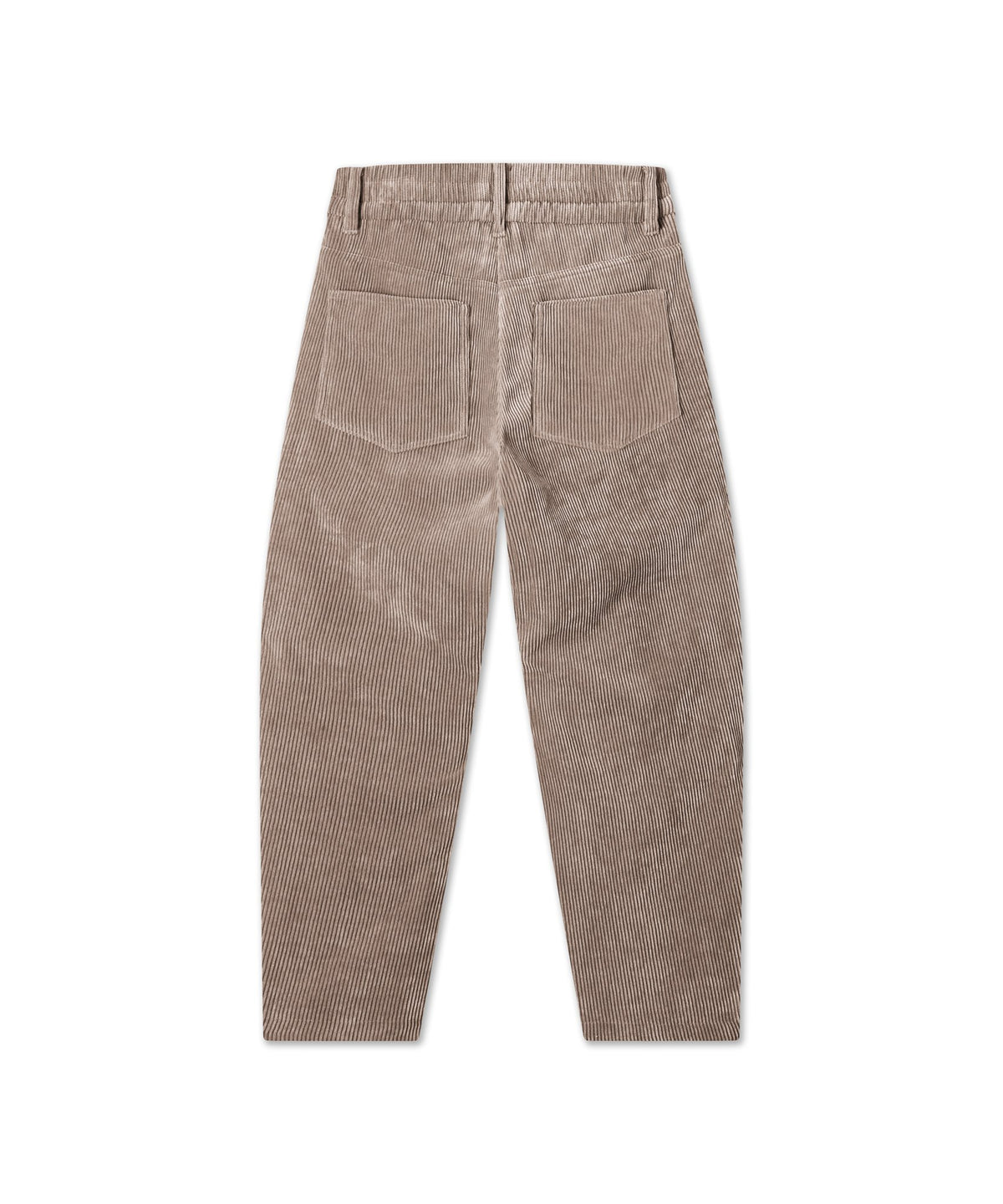 Cordhose ORCHID