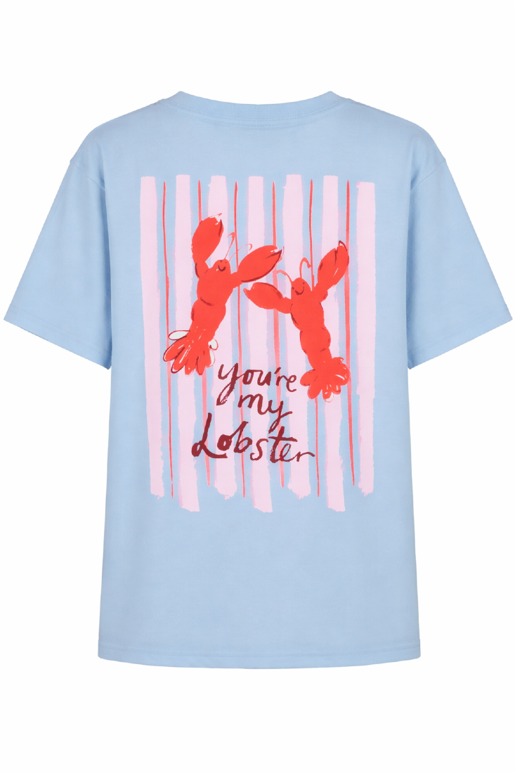 Goose Flash T-Shirts Blau