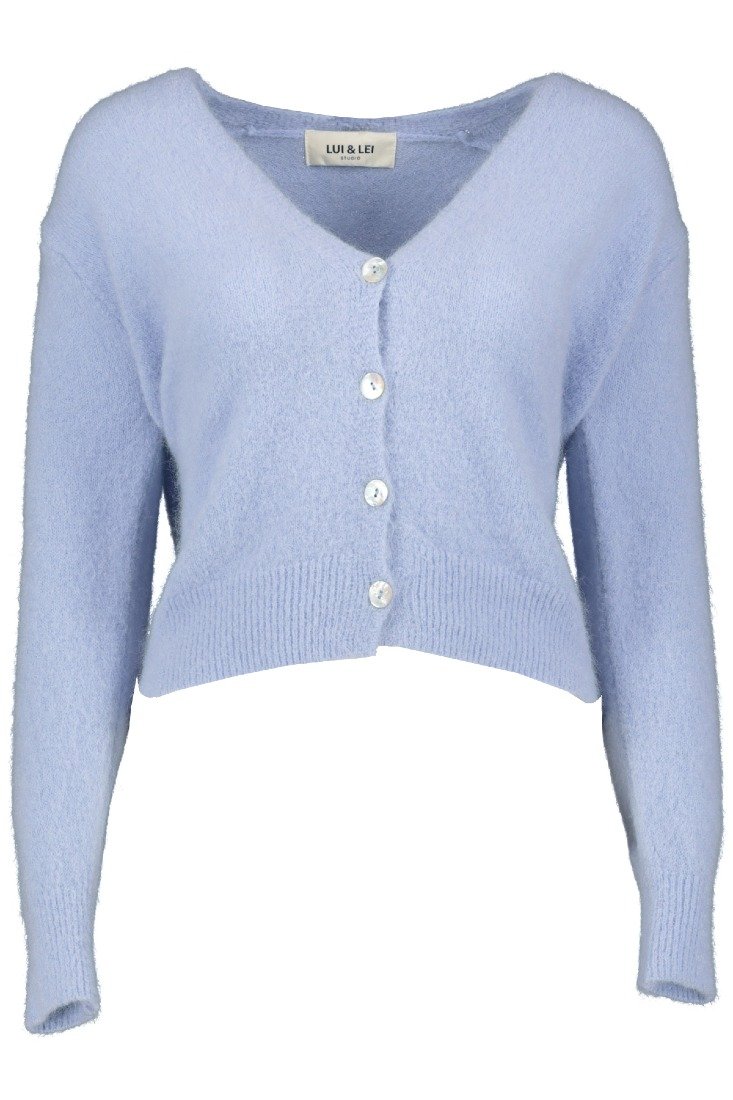 Goose Flash Strickjacken Babyblau