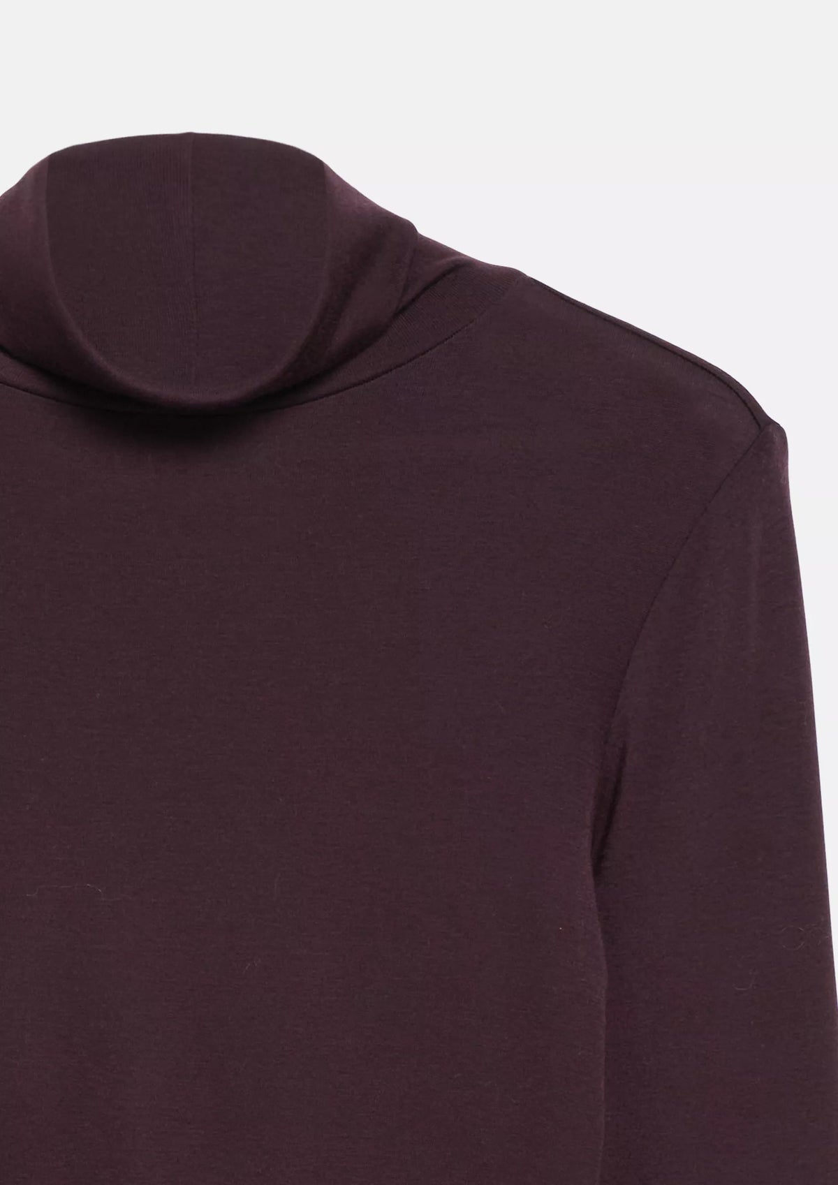 Longsleeve mit Rollkragen