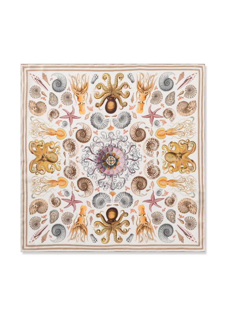 CODELLO Tücher Beige Light