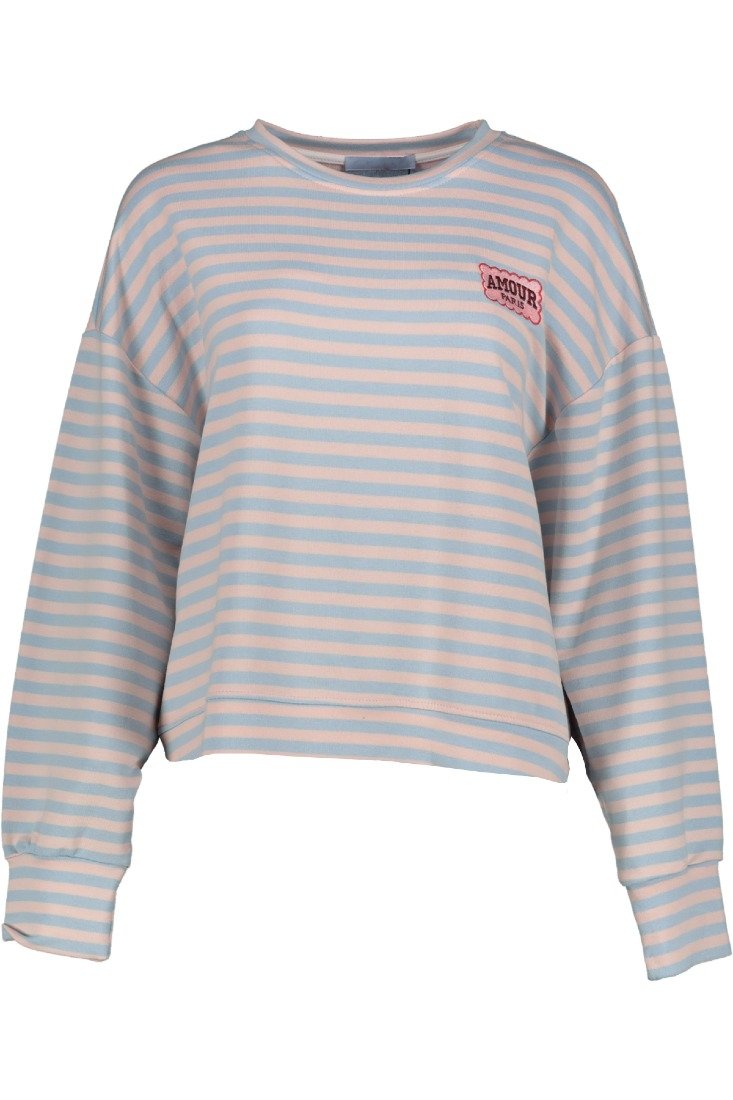 Goose Flash Sweatshirts Beige/Blau