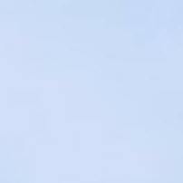 Bluse mit Taillennähten